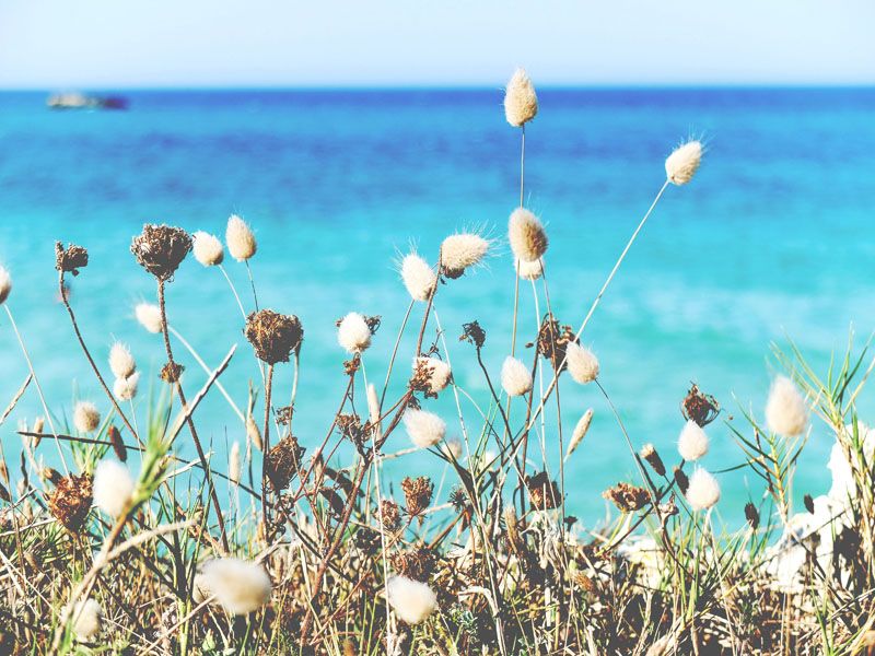 colori salento